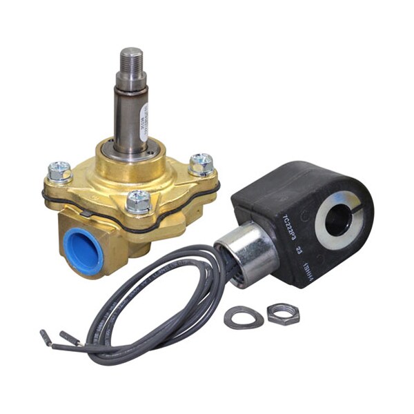 Steam Solenoid Valve 1/2" 120V